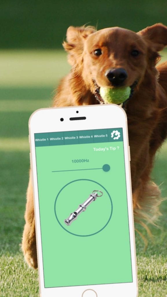 11 Dog whistle apps that actually work