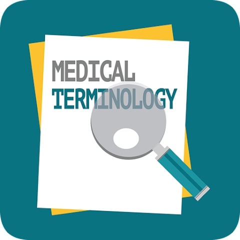 Best Medical Terminology Flashcards Apps Freeappsforme Free