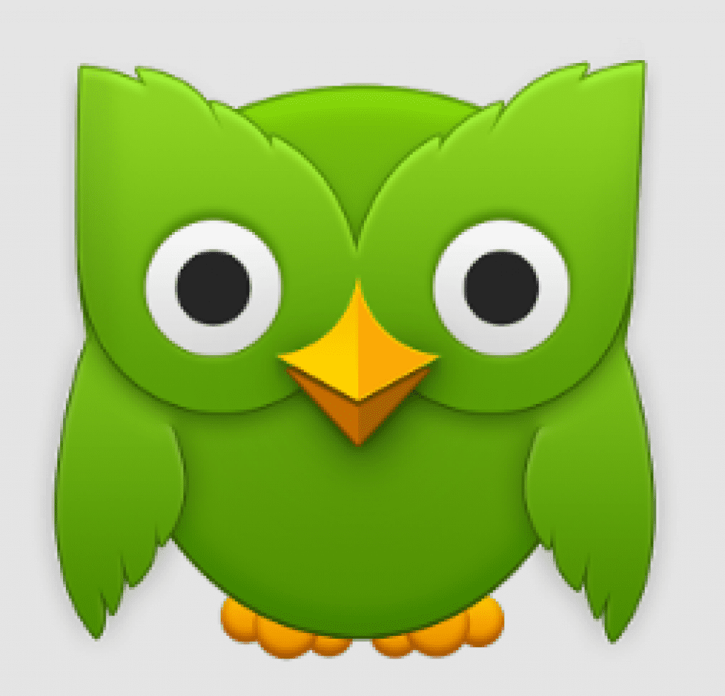Duolingo учим. Совенок Дуолинго. Duolingo зелёная Сова. Duolingo зеленый совёнок. Сова из Duolingo.