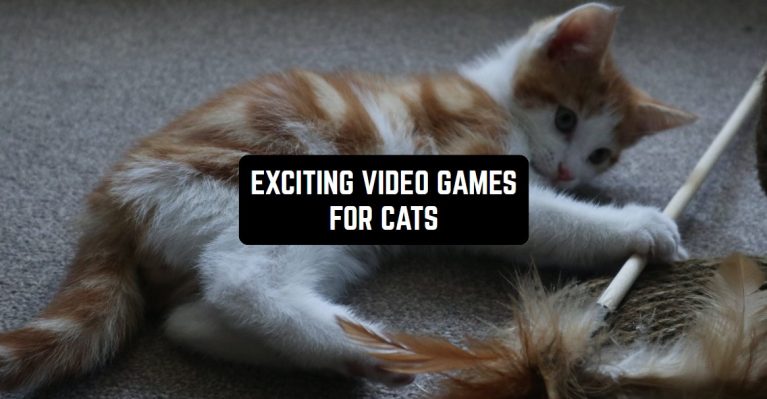 EXCITING VIDEO GAMES FOR CATS1