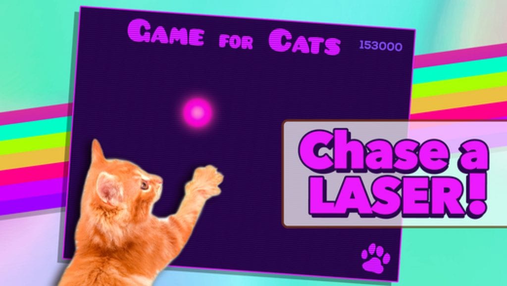 10 Exciting Video Games for Cats on iPad | Free apps for Android and iOS