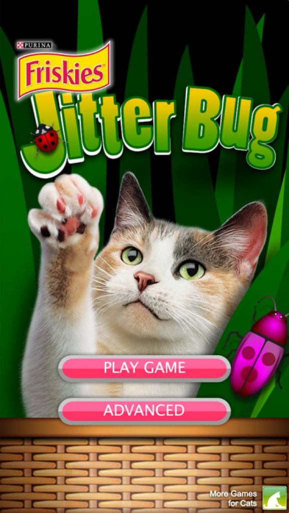 10 Exciting Video Games for Cats on iPad | Free apps for ...