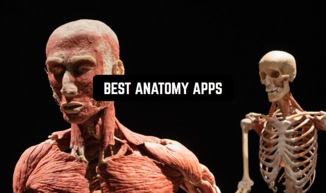 13 Best Anatomy Apps for Android & IOS