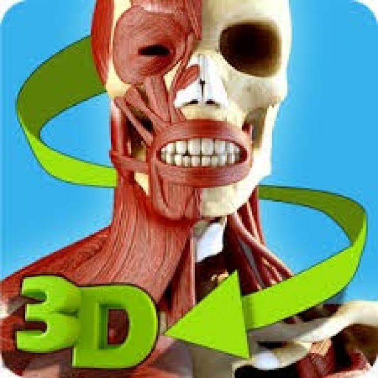 12 Best Anatomy Apps For Android And Ios Freeappsforme Free Apps For Android And Ios