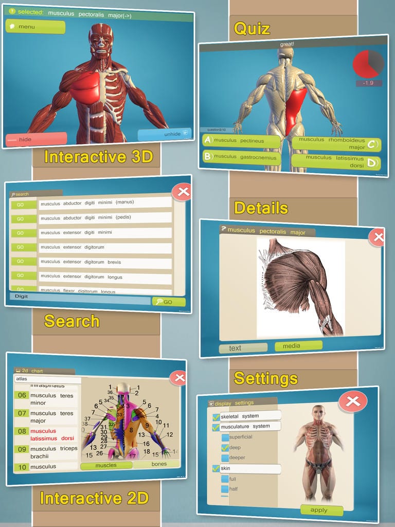 easyanatomy Free apps for Android and iOS