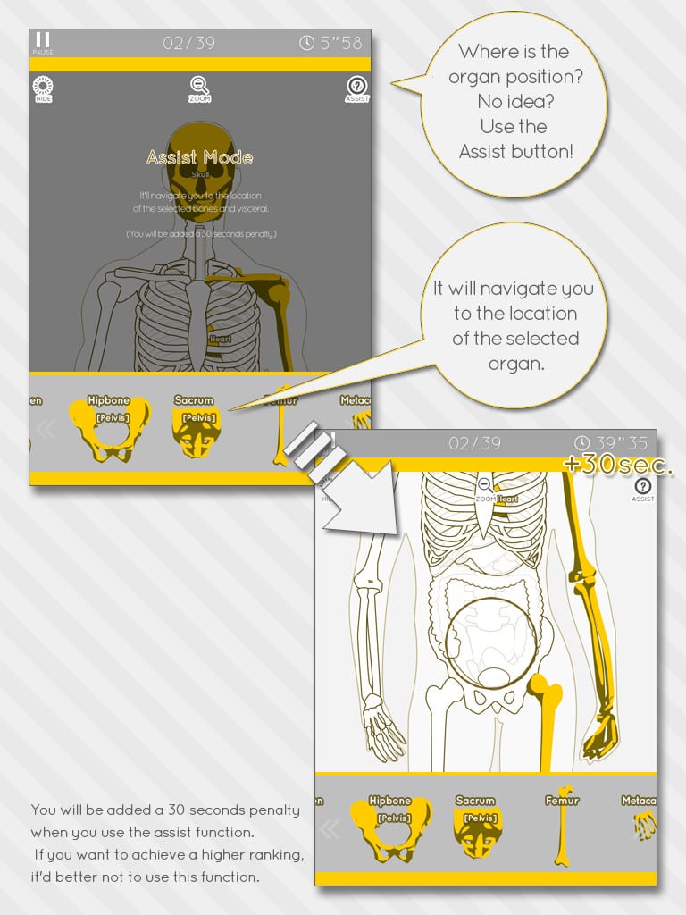 12 Best Anatomy apps for Android & IOS | Free apps for Android and iOS