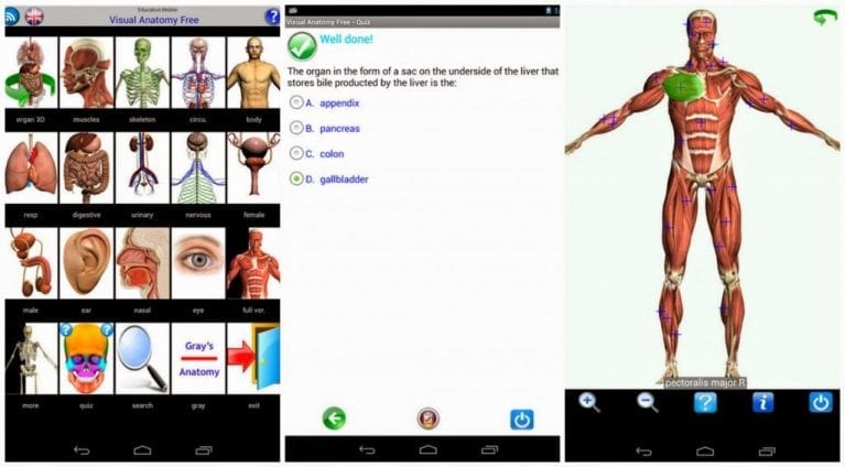 12 Best Anatomy Apps For Android & IOS | Free Apps For Android And IOS