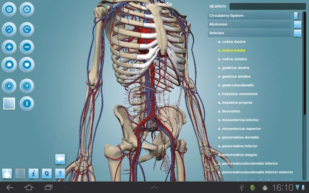 Бесплатная анатомия 3d бесплатное