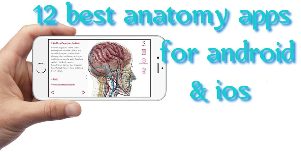 12 Best Anatomy apps for Android & IOS | Free apps for ...