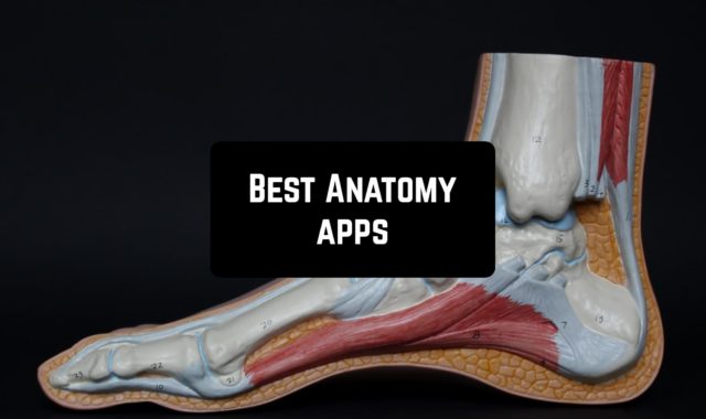 12 Best Anatomy apps for Android & IOS