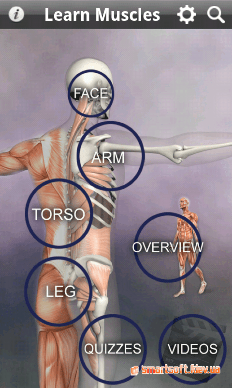 12 Best Anatomy apps for Android & IOS Freeappsforme Free apps for