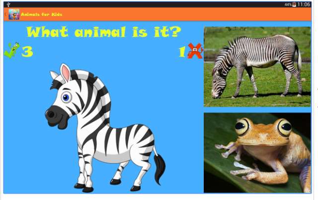 Animals for Kids