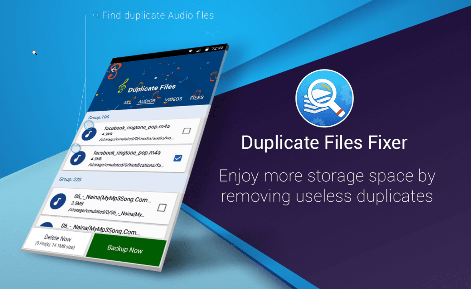 Duplicate Files Fixer