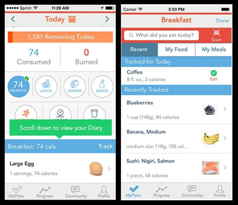 calorie tracker that switches days