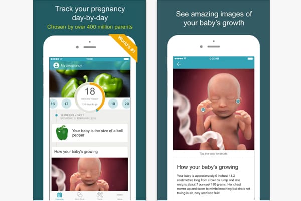 my pregnancy and baby tracker screen