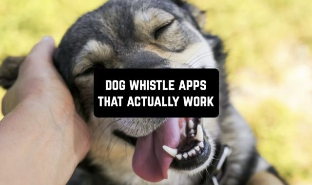12 Dog Whistle Apps That Actually Work
