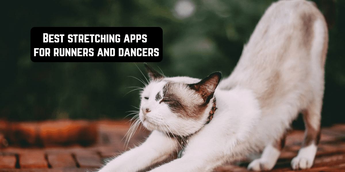 17 Best stretching apps for runners and dancers (Android ...