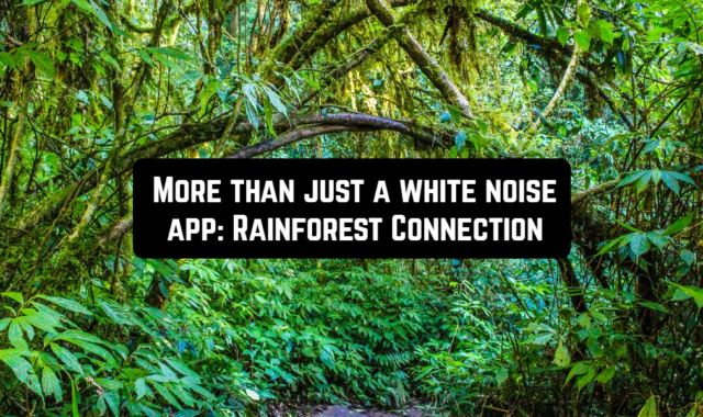 More than just a white noise app: Rainforest Connection
