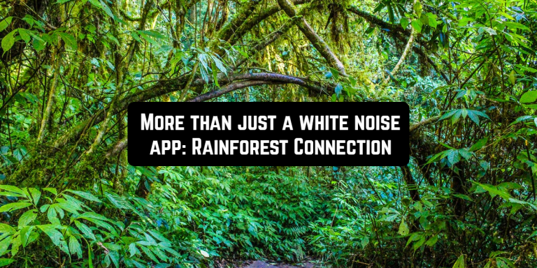 rainforest connection front