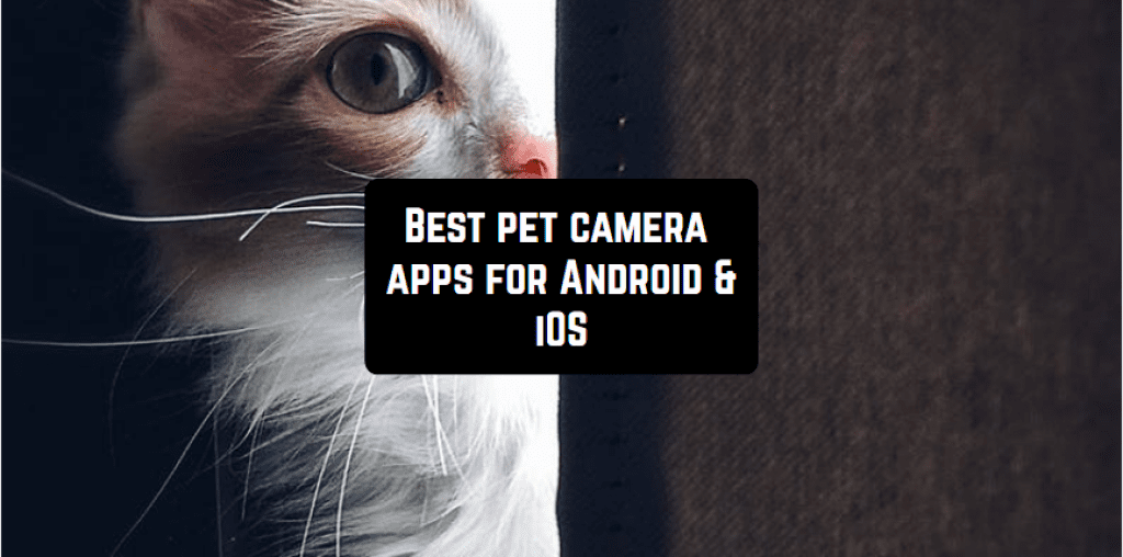 7 Best pet camera apps for Android & iOS Freeappsforme Free apps