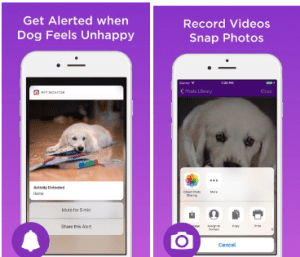 how does the dog monitor app work