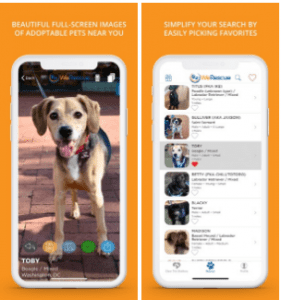 petadopt92