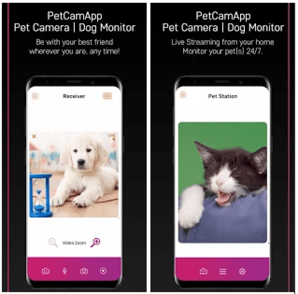 7 Best pet camera apps for Android & iOS Free apps for Android and iOS