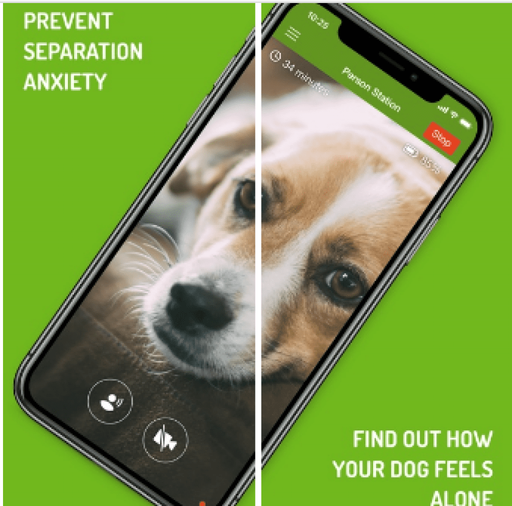 7 Best pet camera apps for Android & iOS Free apps for Android and iOS