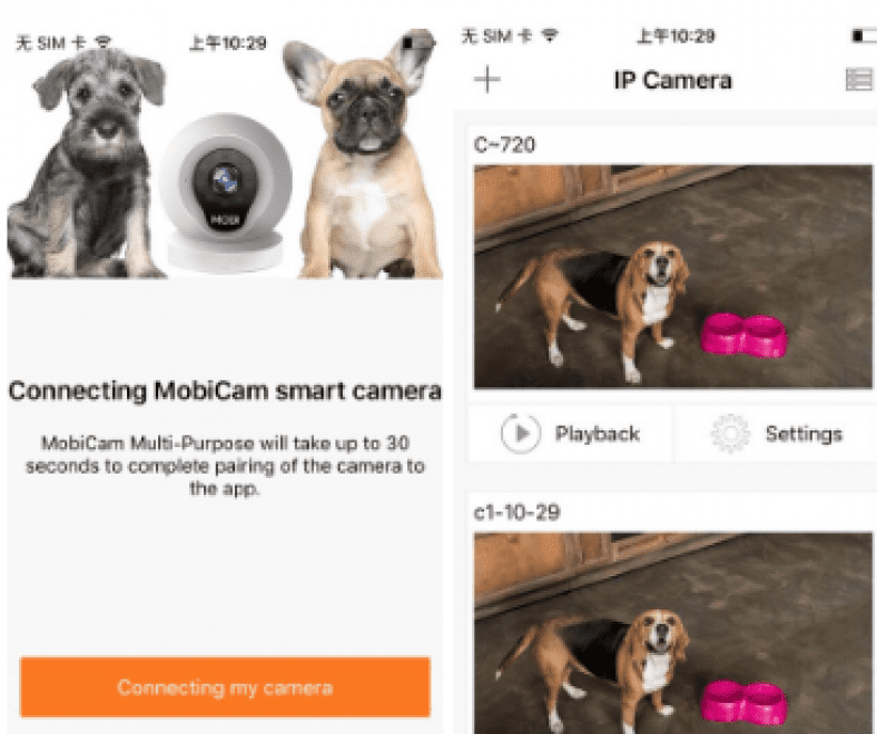 7 Best pet camera apps for Android & iOS Free apps for Android and iOS