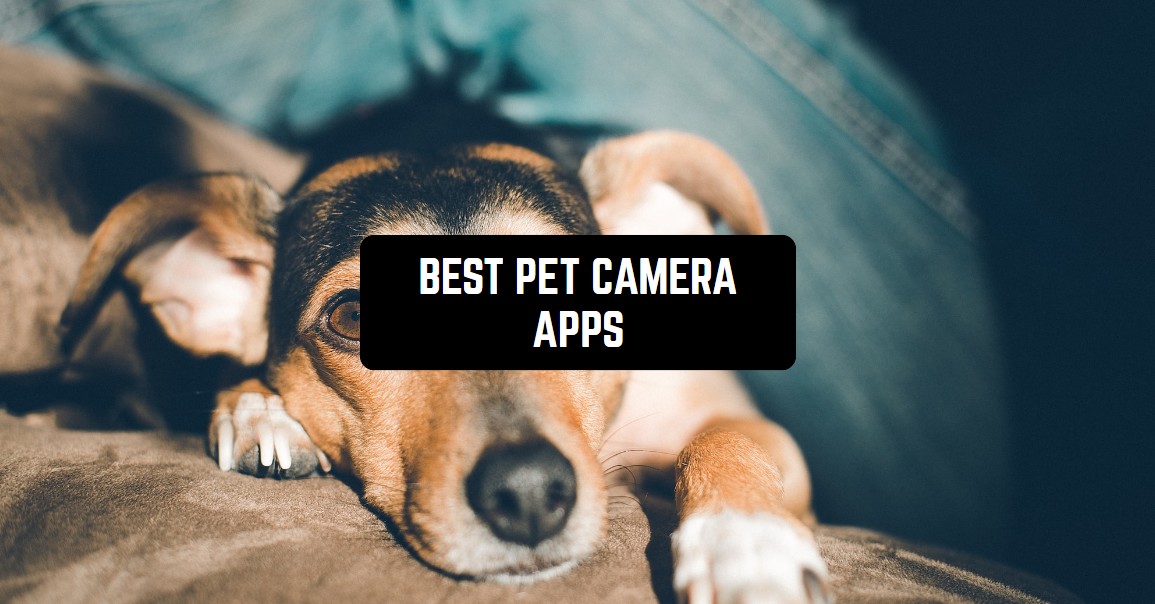 Best dog best sale camera app