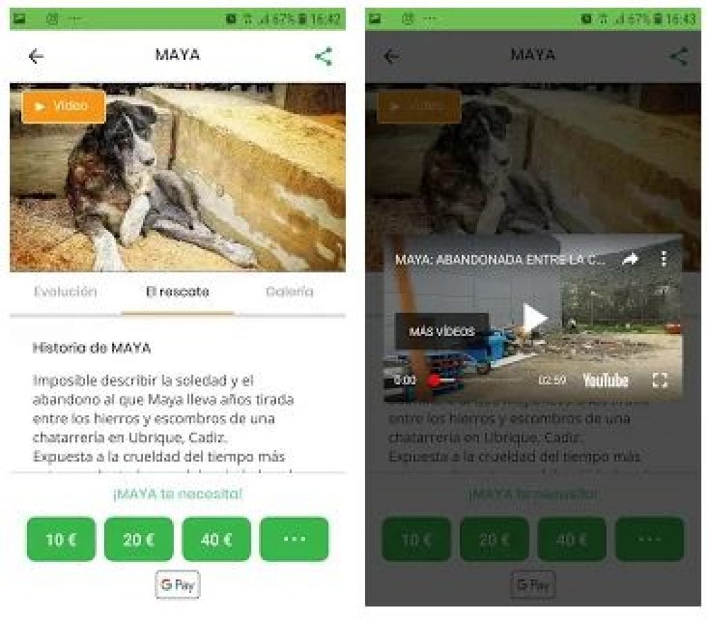 11 Best pet adoption apps in USA for Android & iOS Freeappsforme