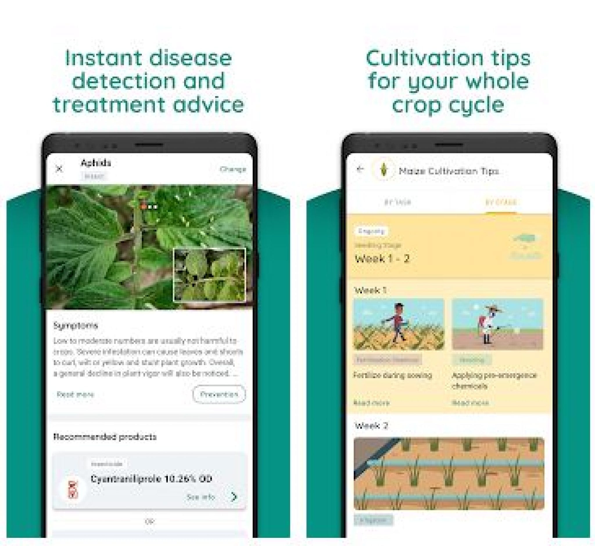16 Best plant identification apps for Android & iOS Freeappsforme Free apps for Android and iOS