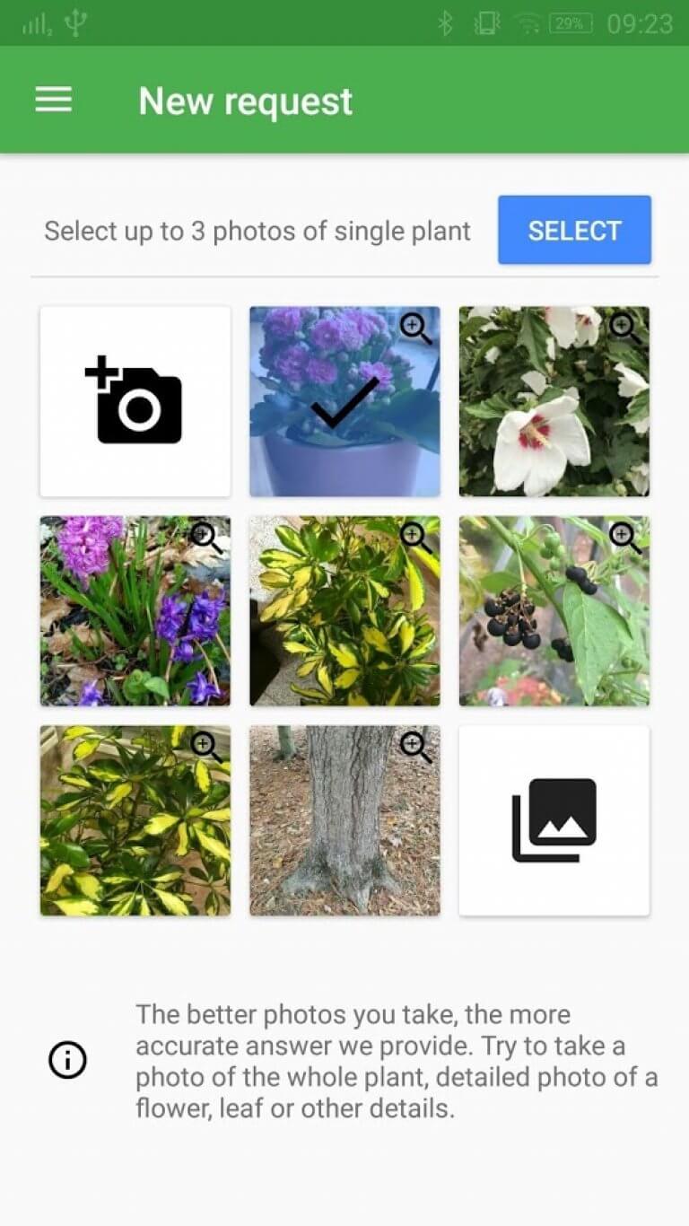 16 Best plant identification apps for Android & iOS Freeappsforme