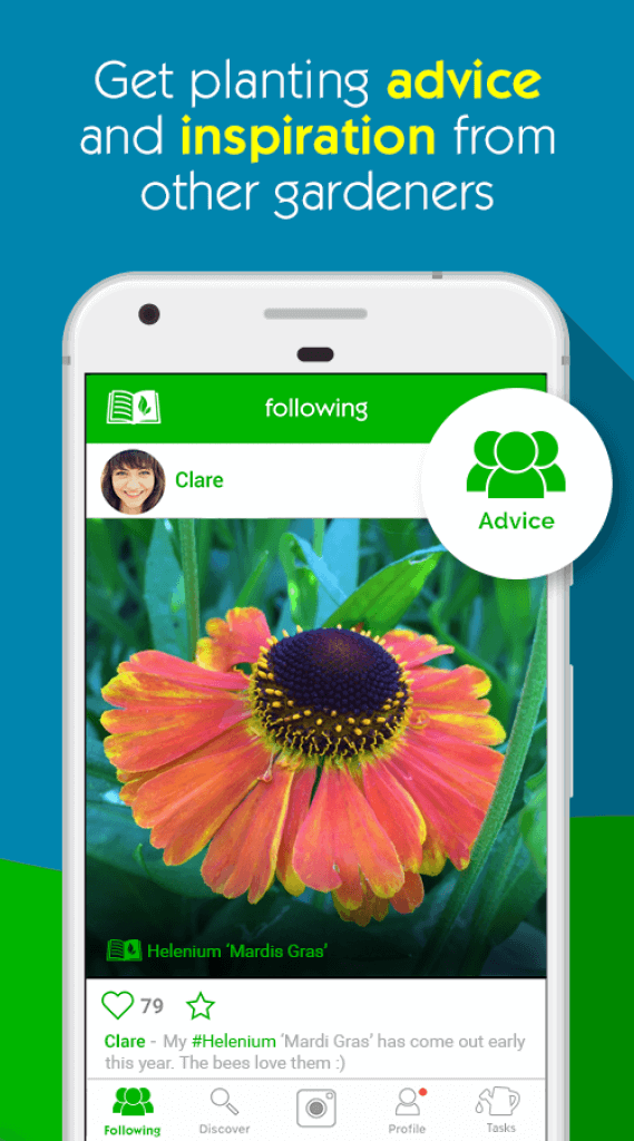 16 Best plant identification apps for Android & iOS Freeappsforme