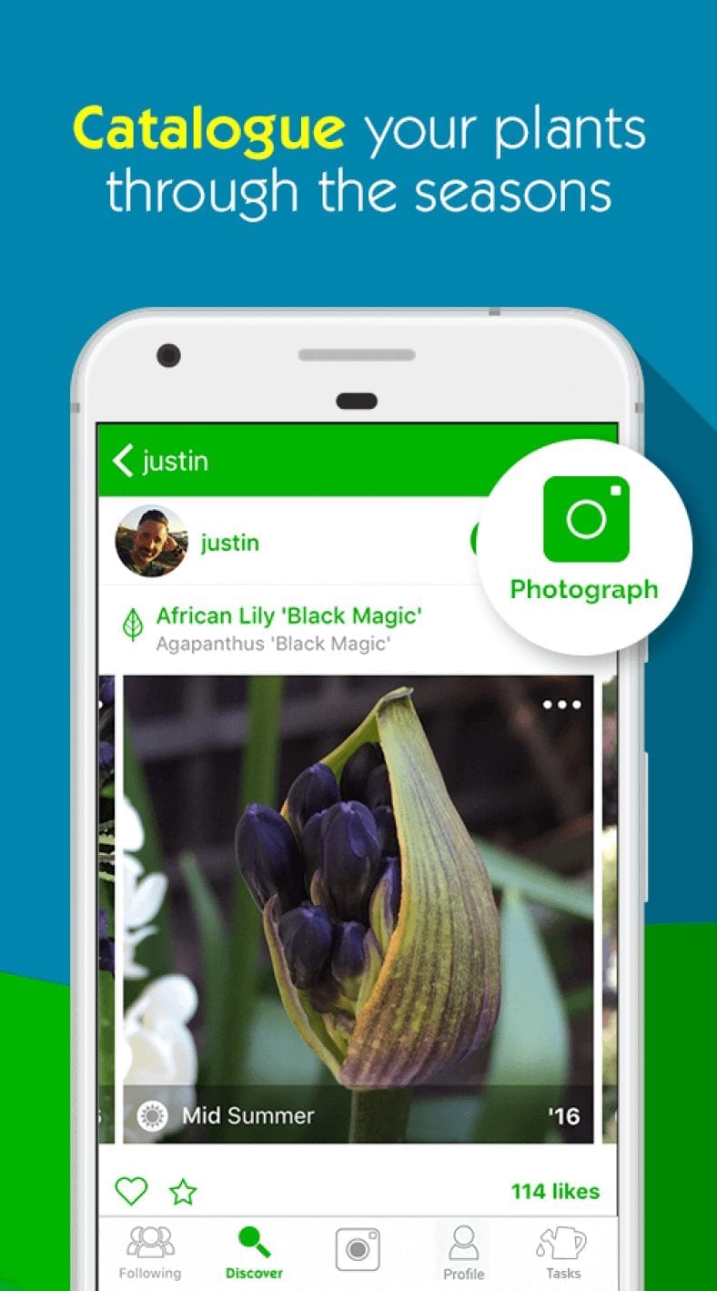 16 Best plant identification apps for Android & iOS Freeappsforme Free apps for Android and iOS