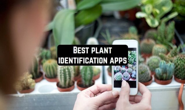 16 Best Plant Identification Apps for Android & iOS