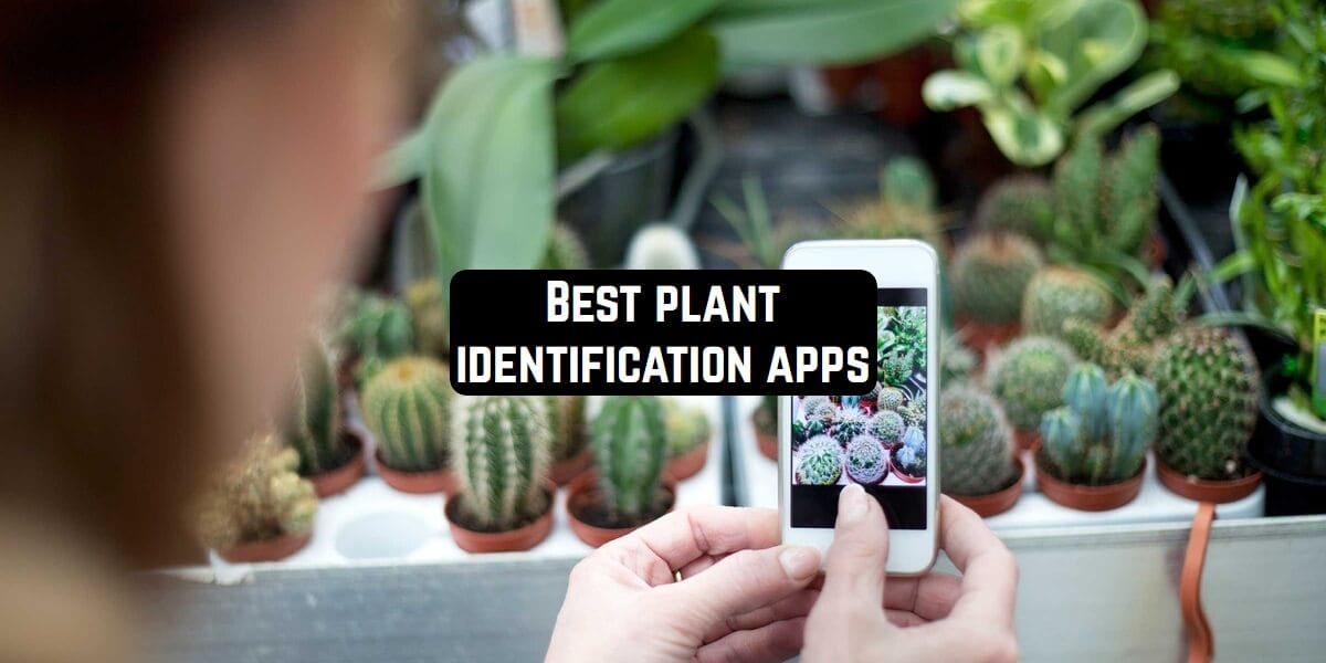 16 Best plant identification apps for Android & iOS | Free ...