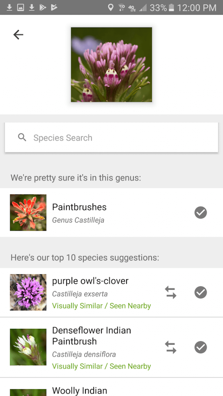 16 Best plant identification apps for Android & iOS Freeappsforme Free apps for Android and iOS