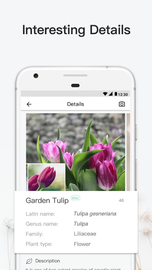16 Best plant identification apps for Android & iOS Freeappsforme Free apps for Android and iOS