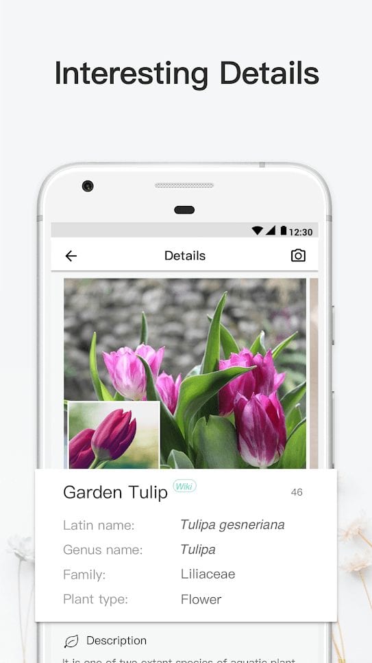 16 Best Plant Identification Apps For Android Ios Free Apps For Android And Ios