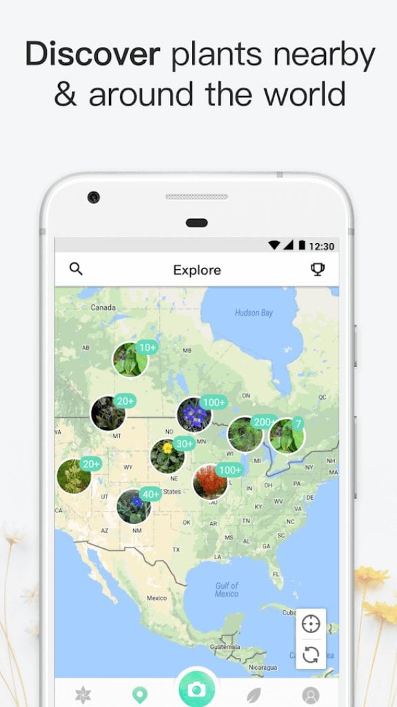 16 Best plant identification apps for Android & iOS Freeappsforme Free apps for Android and iOS