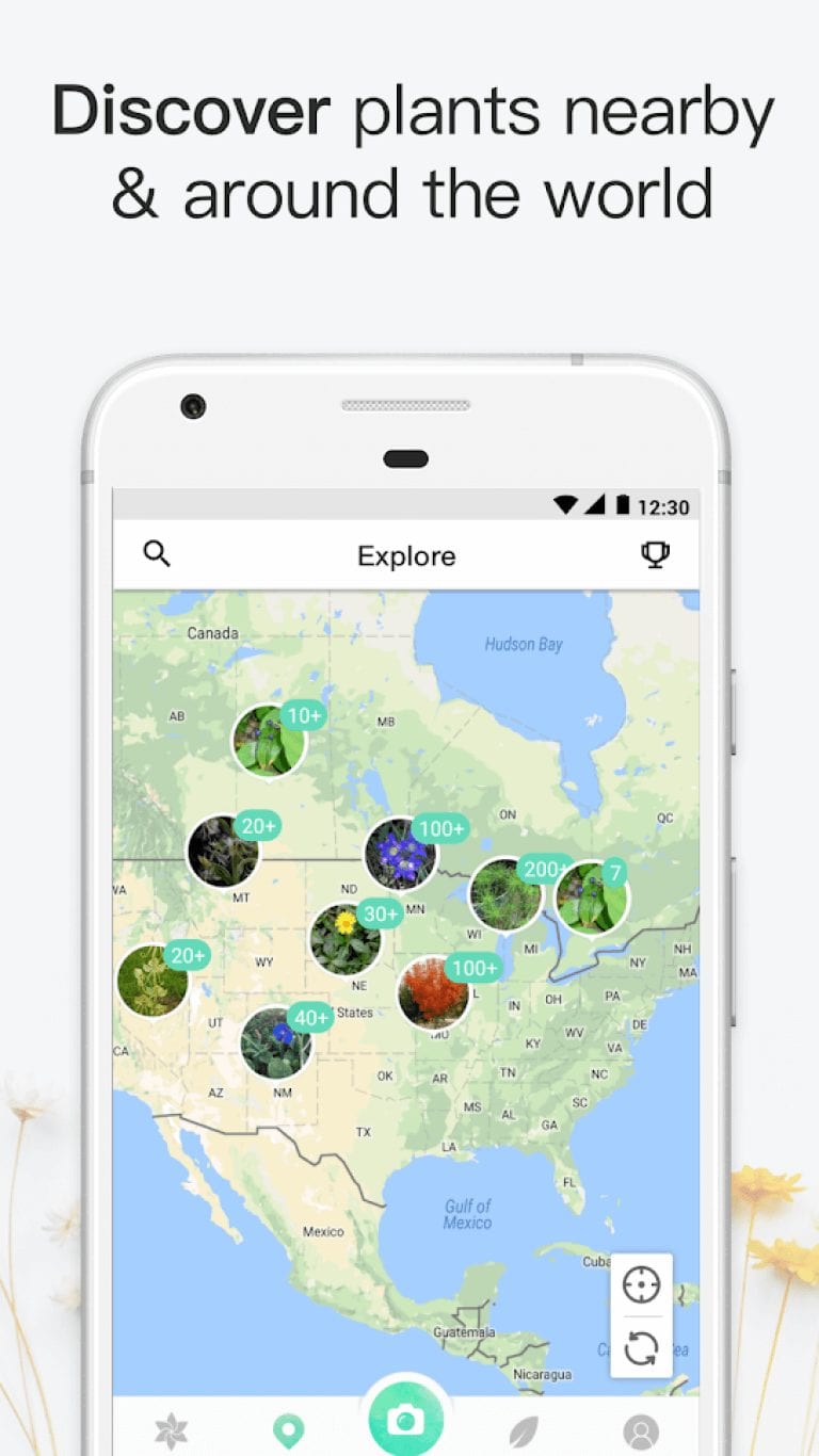 16 Best plant identification apps for Android & iOS Freeappsforme