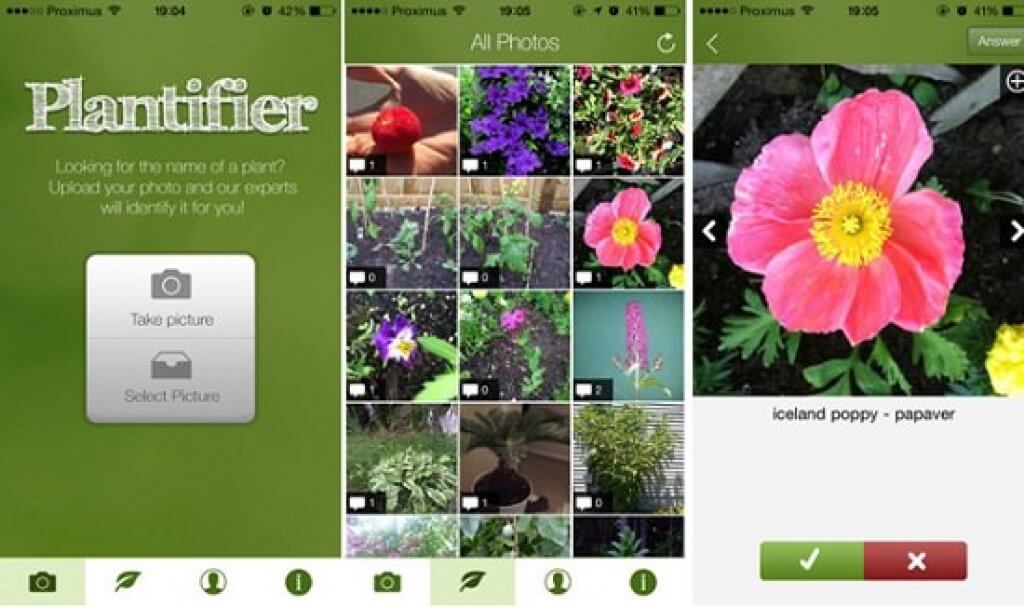 16 Best plant identification apps for Android & iOS Freeappsforme
