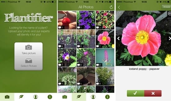 plantifier-screeen