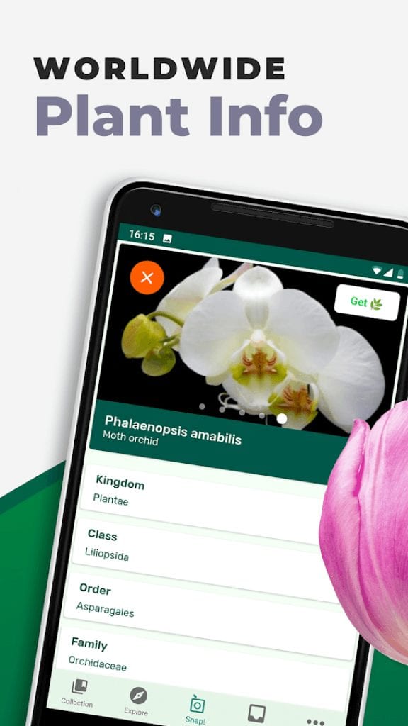 16 Best plant identification apps for Android & iOS Freeappsforme Free apps for Android and iOS