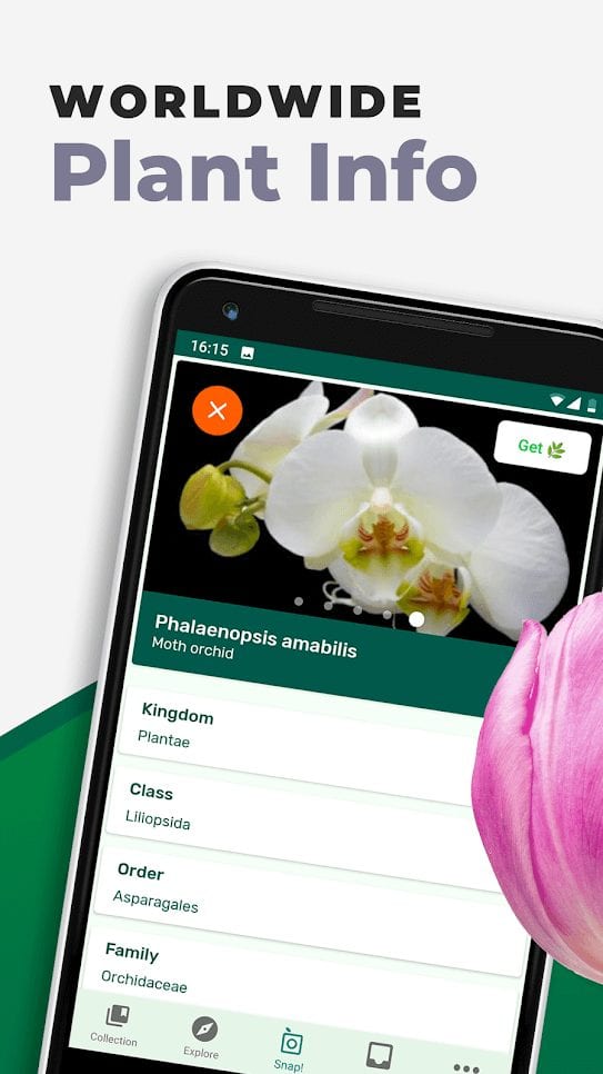 16 Best Plant Identification Apps For Android Ios Free Apps For Android And Ios