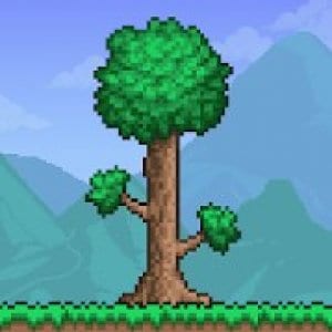 Terraria