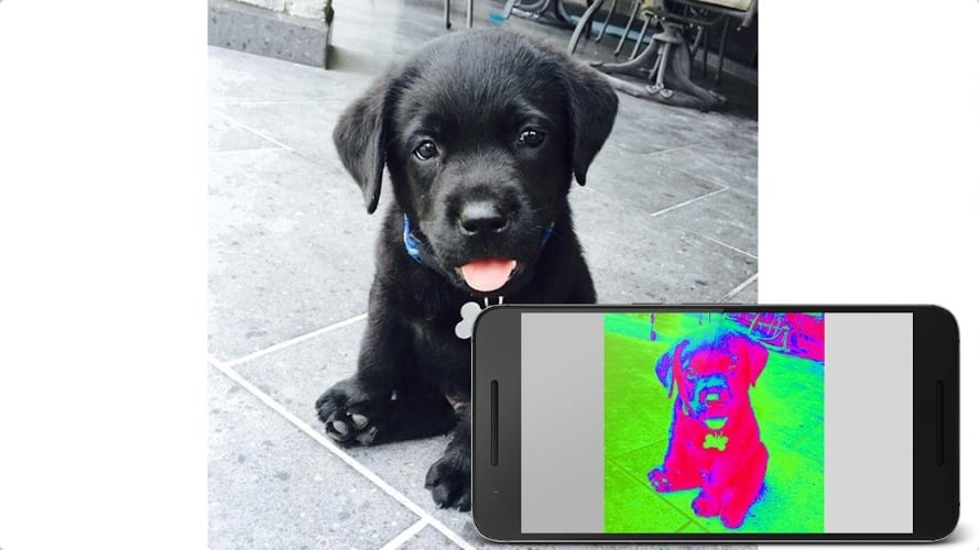 11 Best Infrared Camera Apps for Android & iOS Freeappsforme Free