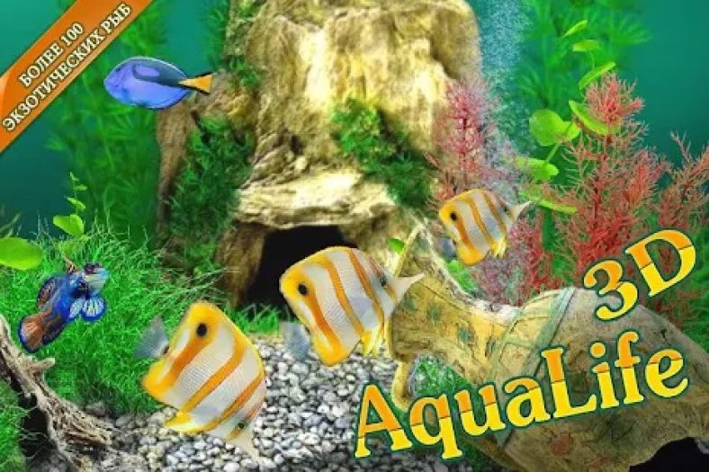8 Best aquarium apps for Android & iOS Free apps for Android and iOS