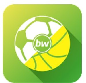 betswall2